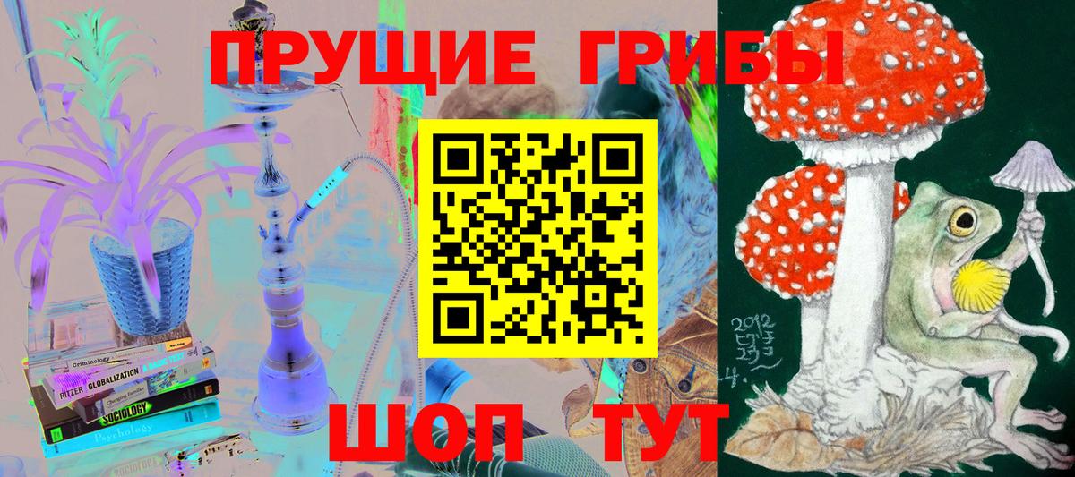 Псилоцибиновые грибы мухоморы Новоалтайск